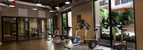 Interior of spinning room at AMLI Dadeland with multiple spin bikes and a view of the lush landscaped courtyard