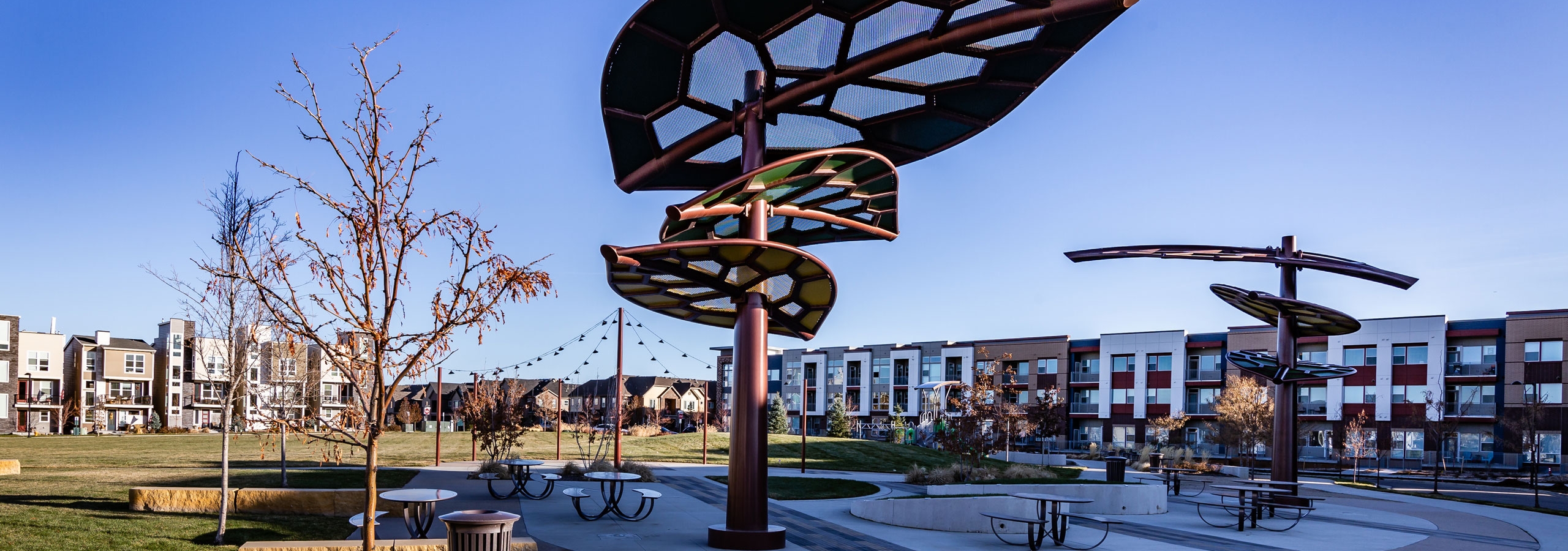 Daytime view of AMLI Littleton Village apartment building adjacent to 3.5-acre park with leaf canopies and festoon lighting