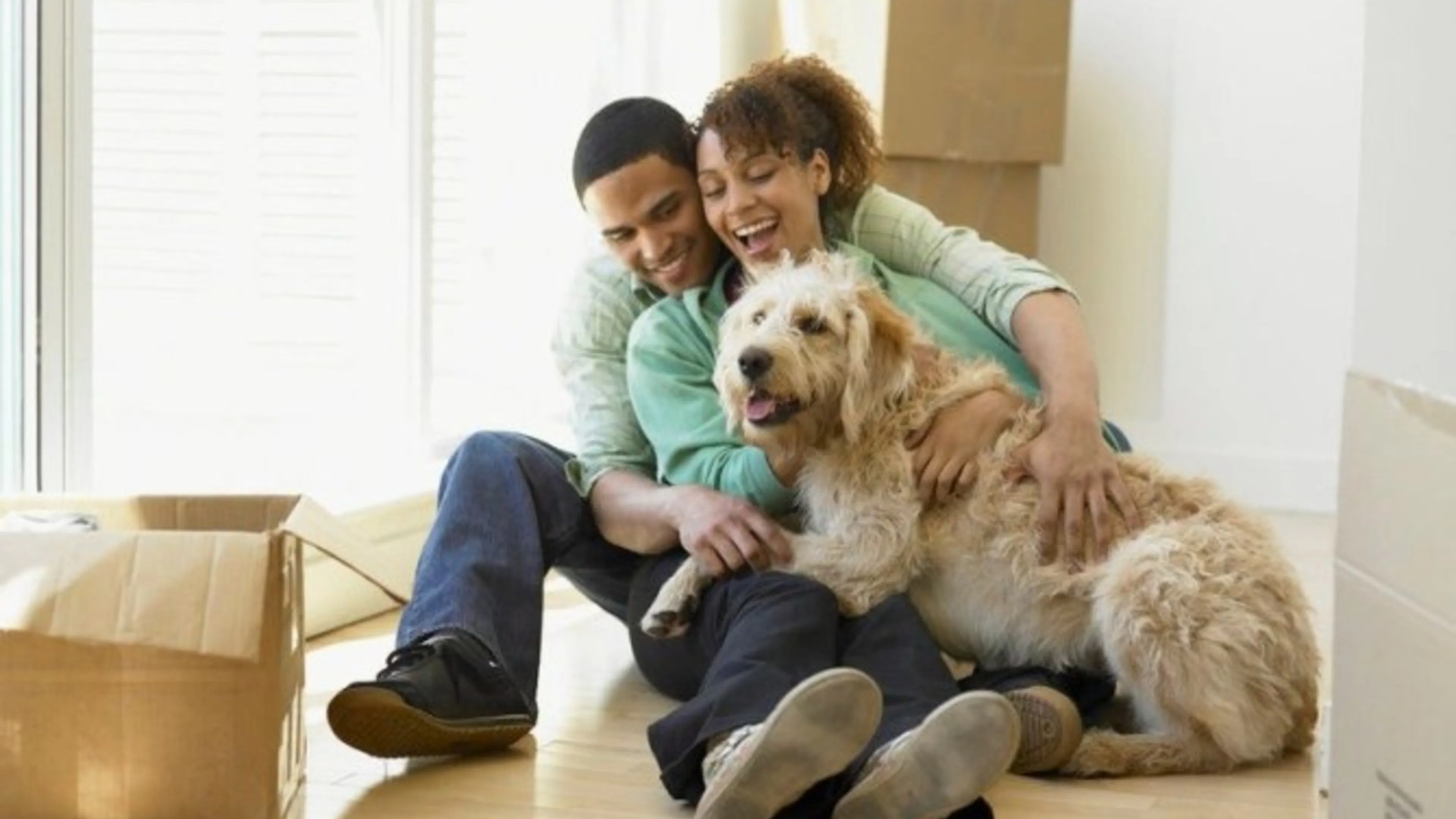 AMLI Pet Friendly Apartments