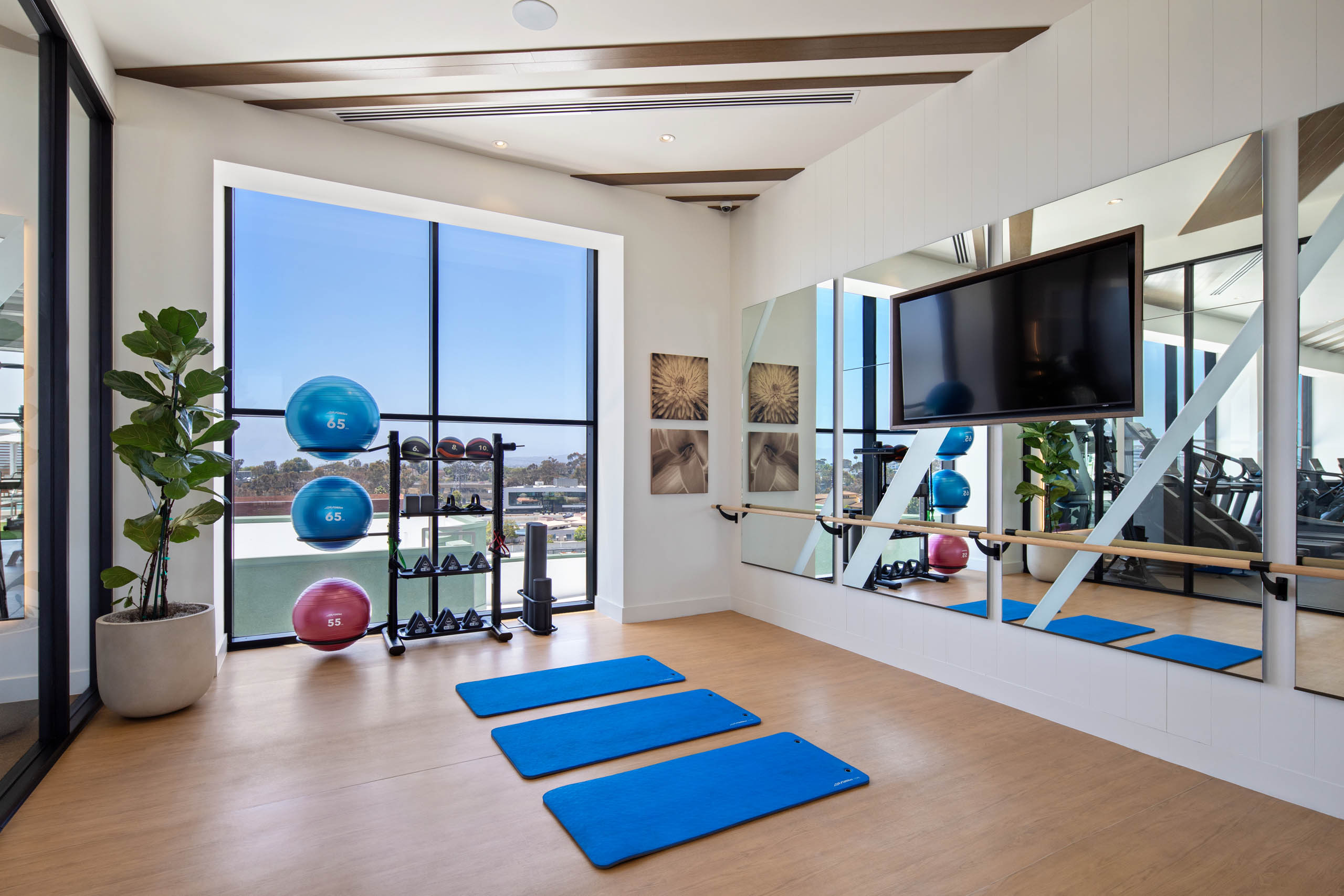 Fitness studio with mirrored walls, mounted TV, blue exercise mats, stability balls, free weights, large windows, and wood flooring.