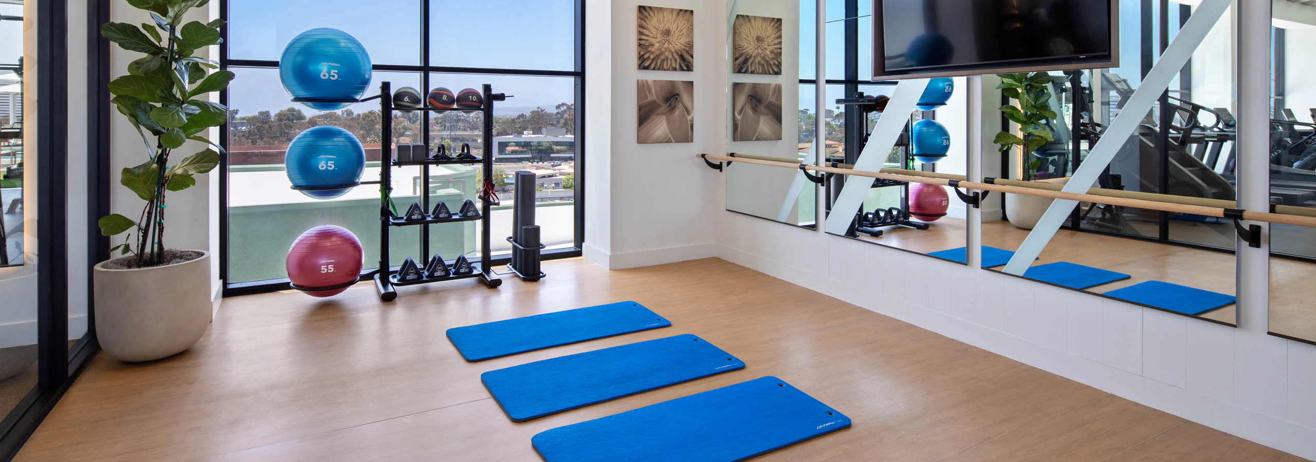 Fitness studio with mirrored walls, mounted TV, blue exercise mats, stability balls, free weights, large windows, and wood flooring.