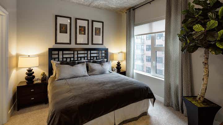 Interior bedroom with modern decor at AMLI Lofts with bed and two nightstands with large window and faux tree