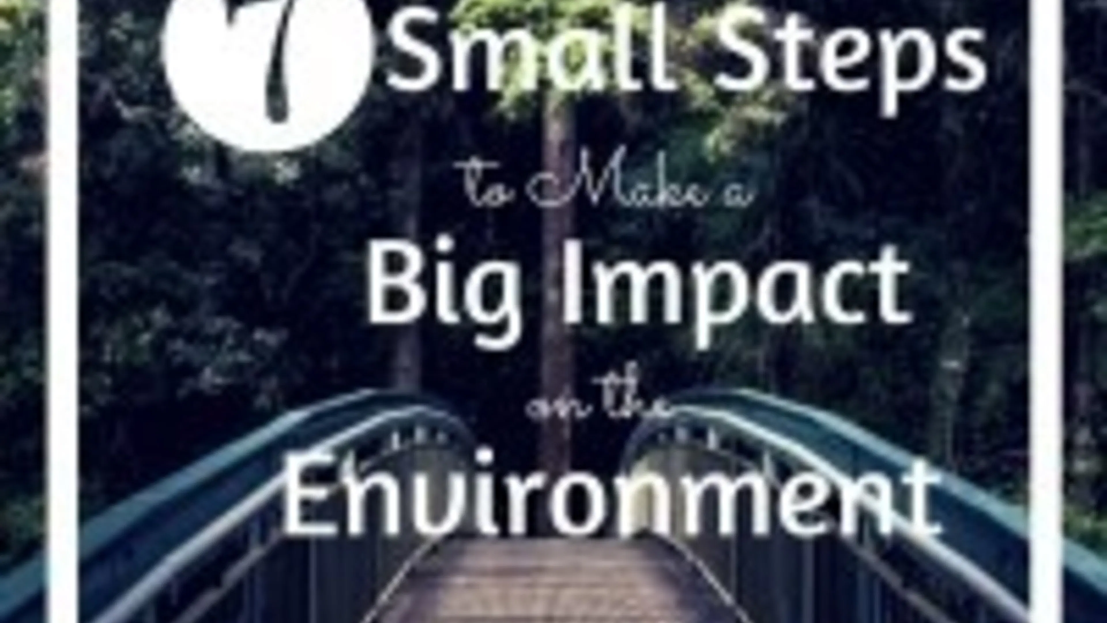 Seven Small Steps to Make a Big Impact on the Environment