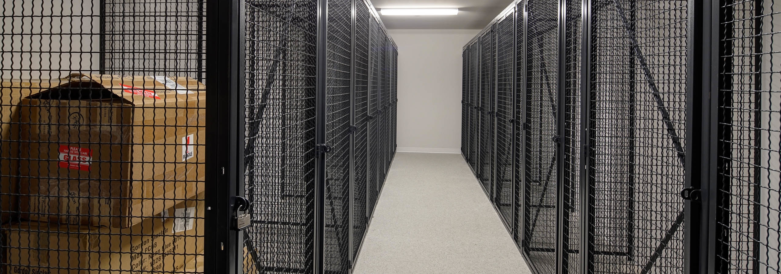 Interior view of large black storage cages on each side of the room with one containing boxes at AMLI Deerfield