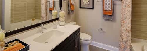 AMLI Deerfield apartment community bathroom with a single sink vanity and dark cabinets with a toilet and a garden tub