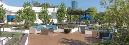 AMLI 3464 rooftop sundeck with scattered trees and blue outdoor couch with wooden pergola and blue canopy in the background