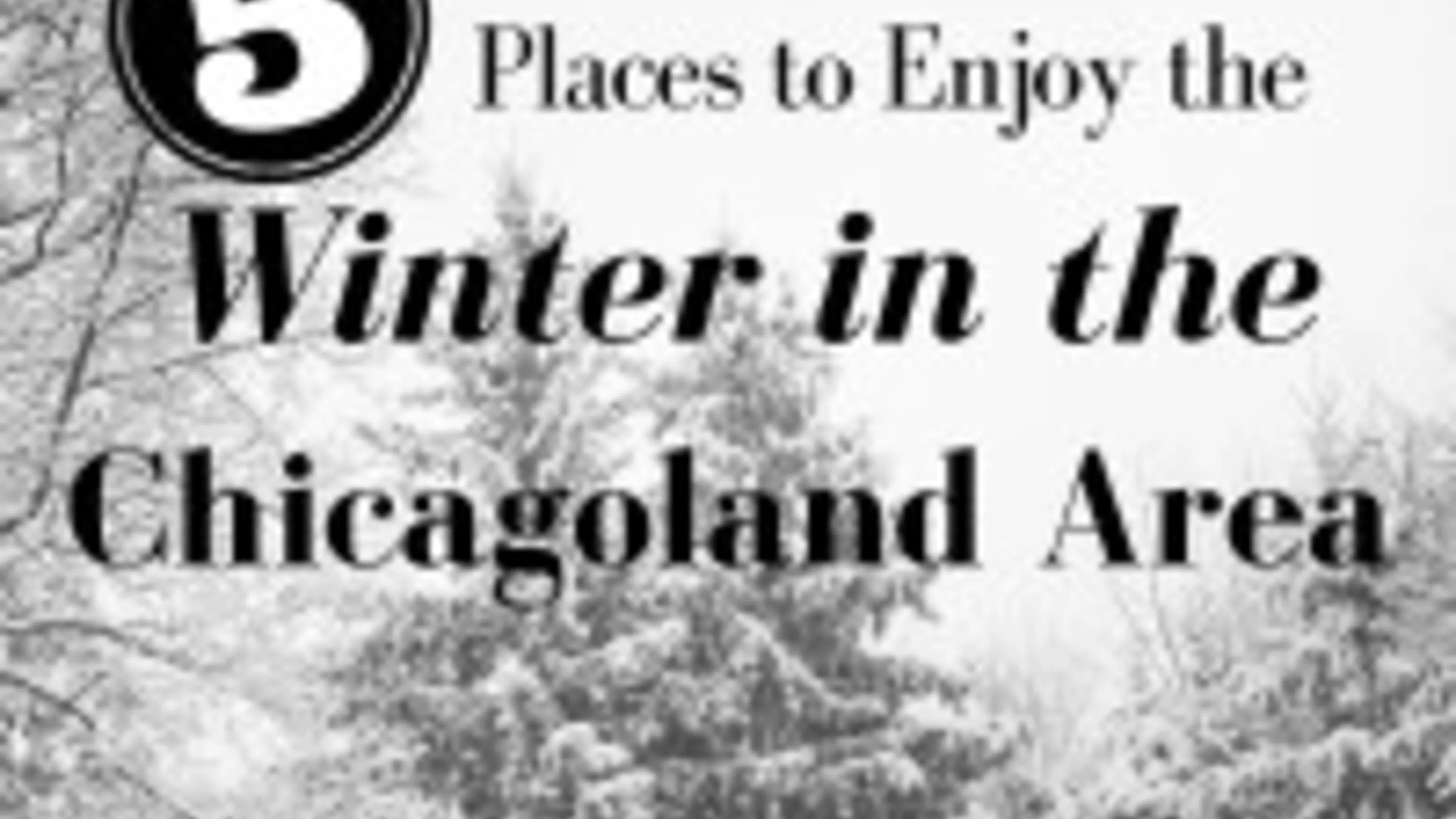 Five Places to Enjoy the Winter in the Chicagoland Area
