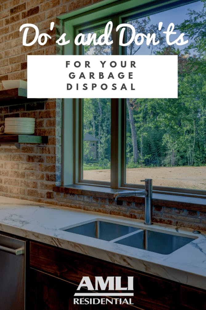 The Do's and Don'ts of Kitchen Garbage Disposals – Pasadena Weekendr