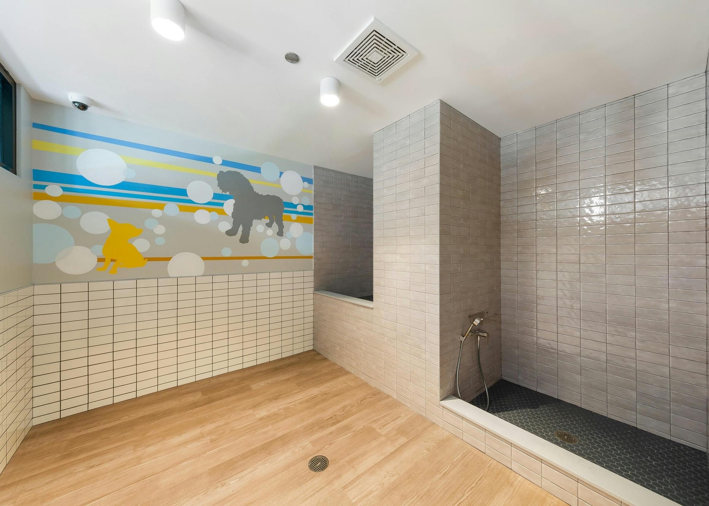 Pet spa amenity at AMLI 808 with a grey tiled dog shower and colorful wall art featuring dog outlines and bubbles