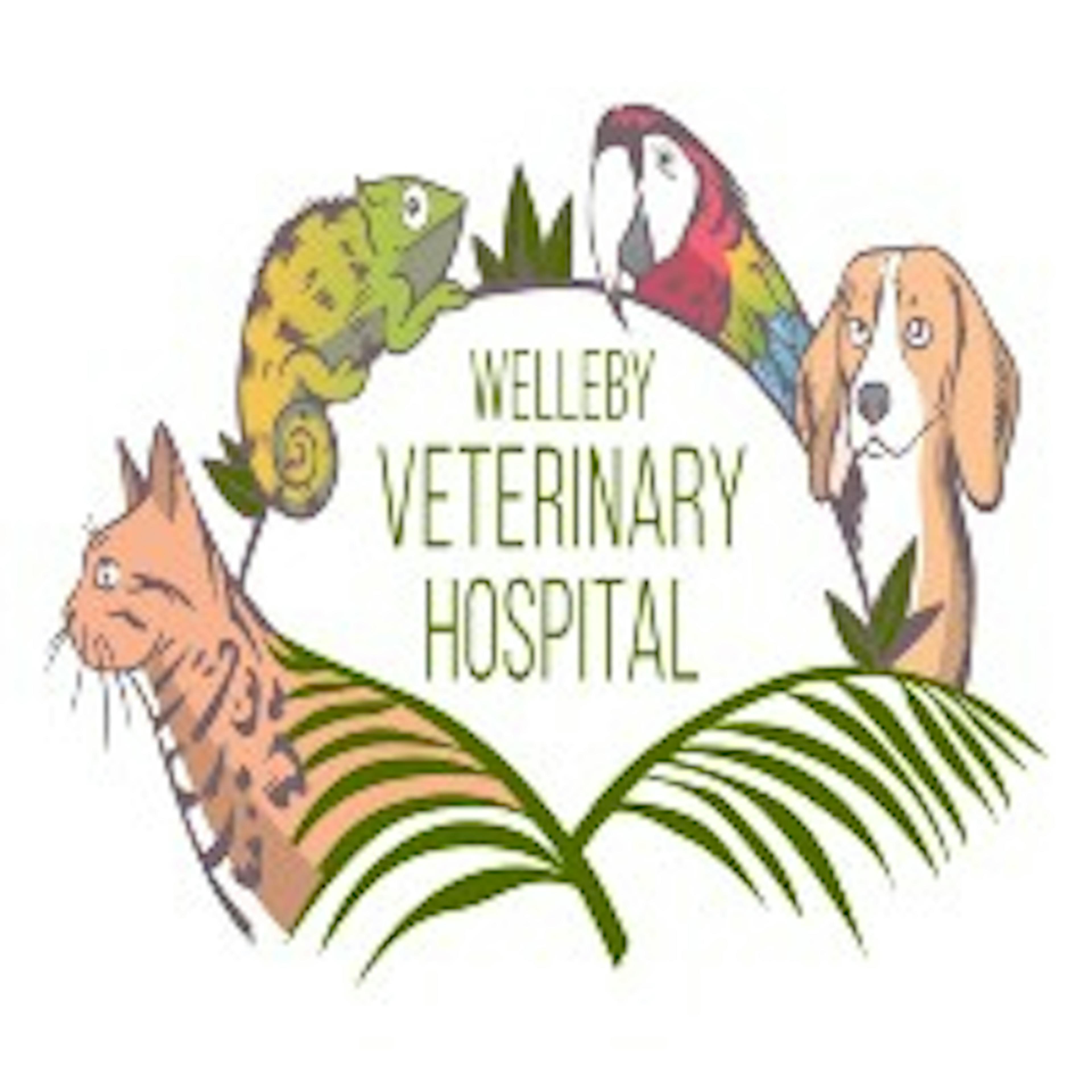 Welleby Veterinary Hospital