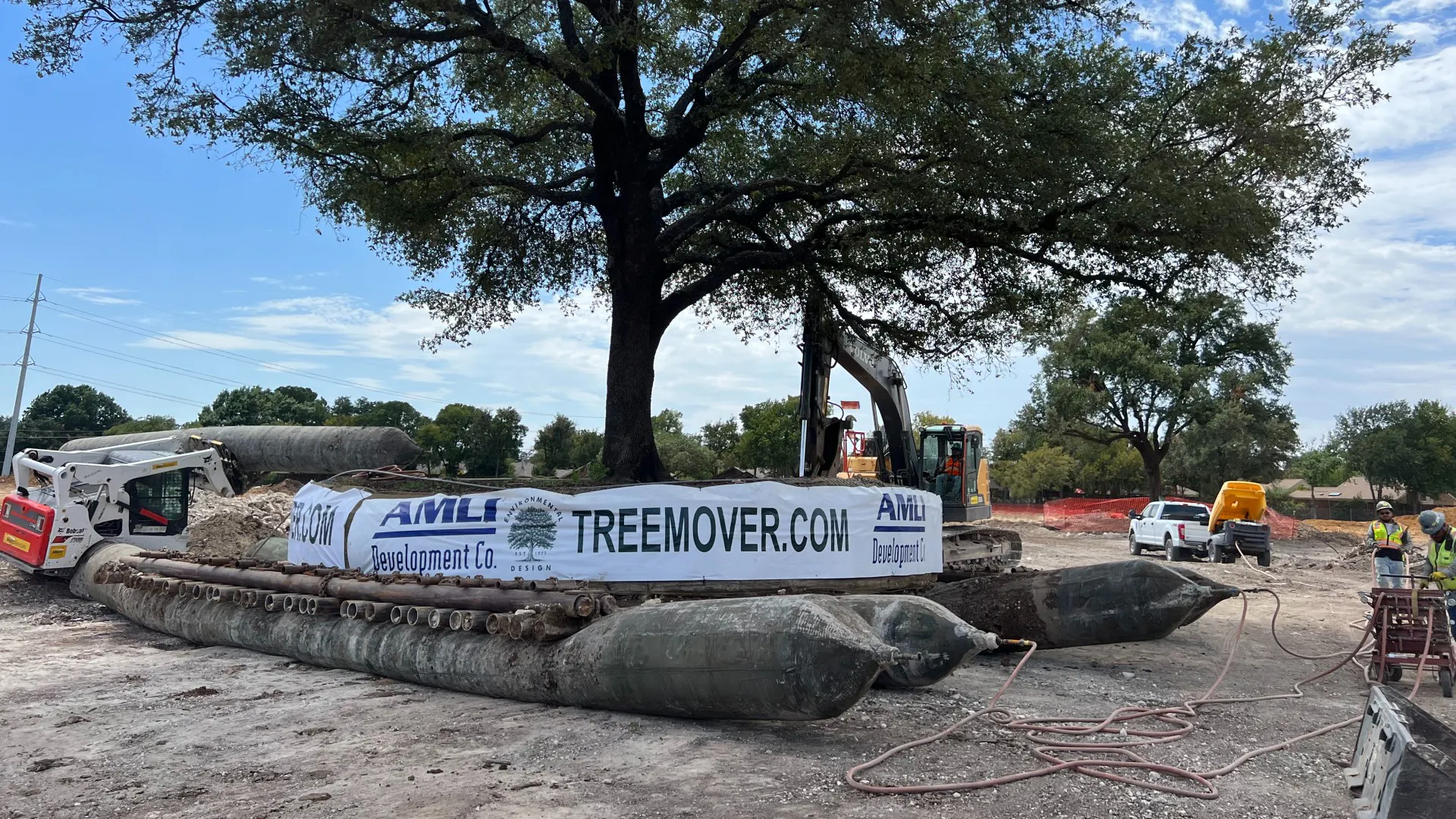 Addison Treehouse Luxury Apartments in Addison, TX | AMLI Treehouse