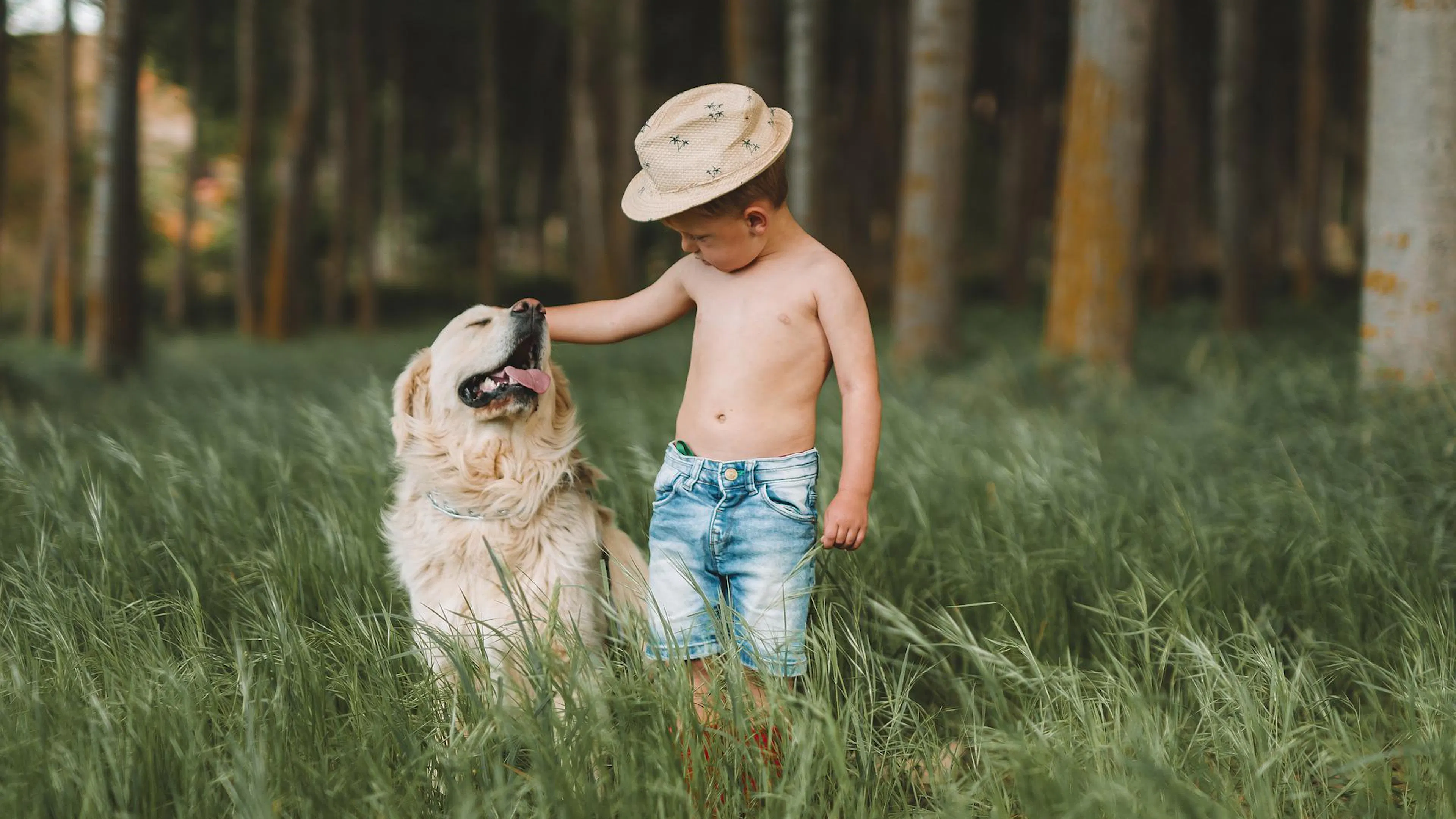 dog with boy in hat and jean shorts standing in tall grass