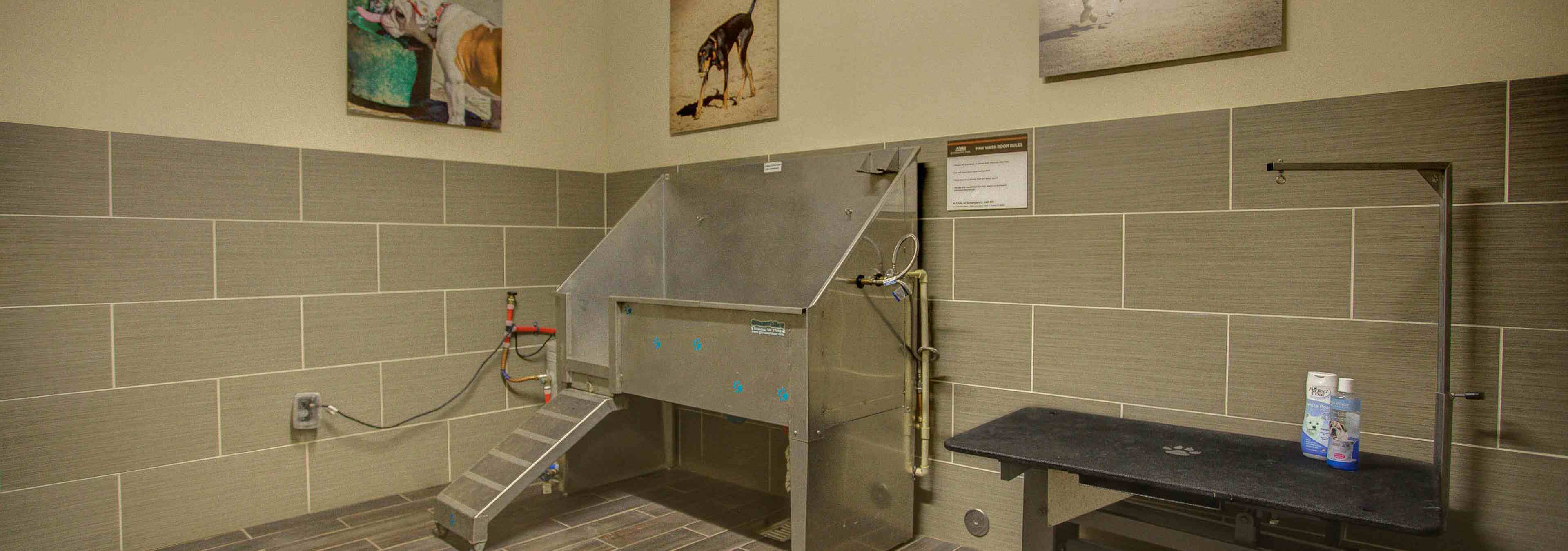 Pet washing area at AMLI Riverfront Park apartments with view of the wash tub and grooming stand as well as pet photography