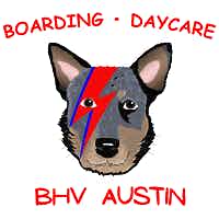 https://images.prismic.io/amli-website/61637057-524a-4cd2-ab03-d2363b9ca44b_Austin_PERKS_Barking+Hound+Village+Austin.png?auto=compress,format&rect=0,0,200,200&w=200&h=200