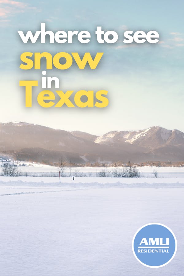 Where You Can See Snow in Texas