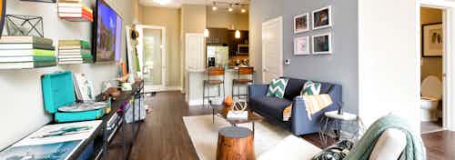 Interior view of AMLI at Mueller living room with dark wood floors and a grey couch on a white rug with colorful decor