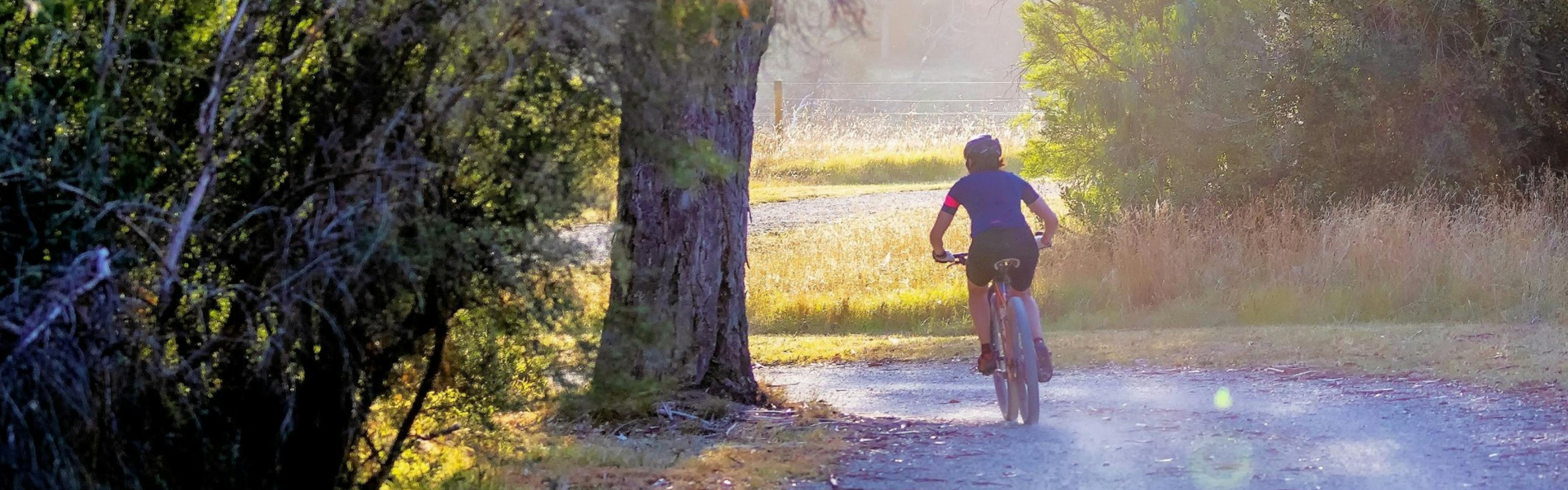 Man with blue shirt and black shorts and helmet on bicycle riding downhill on dirt trail in park surrounded by greenery