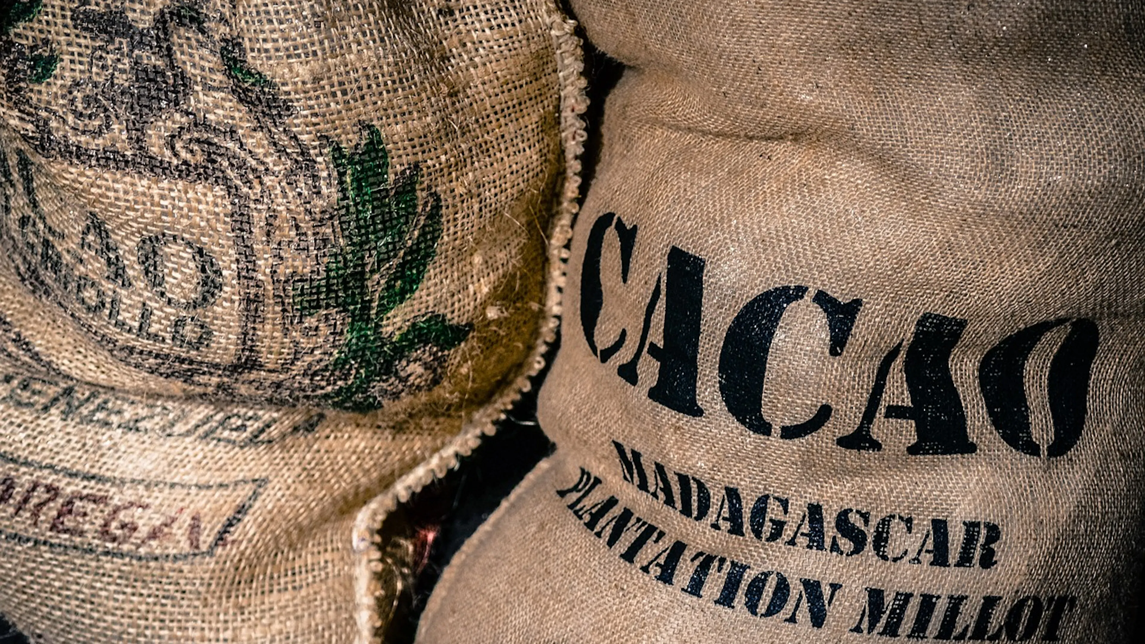 cloth sack filled with cacao beans