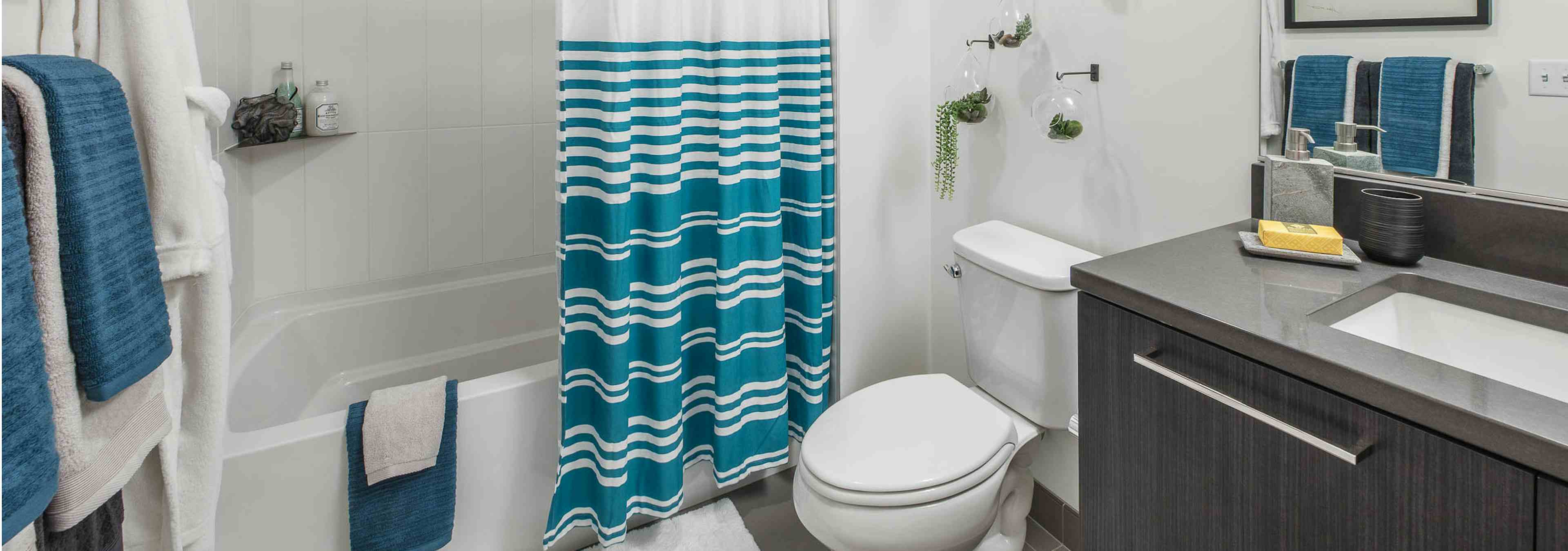 Interior view of apartment of AMLI Arc of bathroom dark quartz countertops with toilet and shower and tub combination