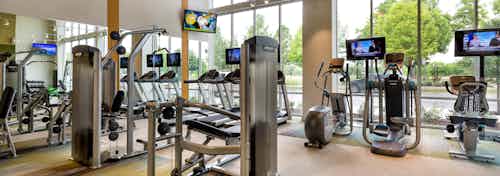 Interior of AMLI at Mueller fitness center with exercise machines facing floor to ceiling windows with daytime scenic view