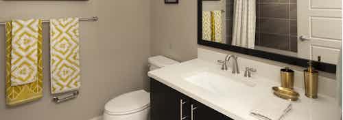 Interior view of AMLI Riverfront Green apartment bathroom with large mirror and stainless steel fixtures with gold accents