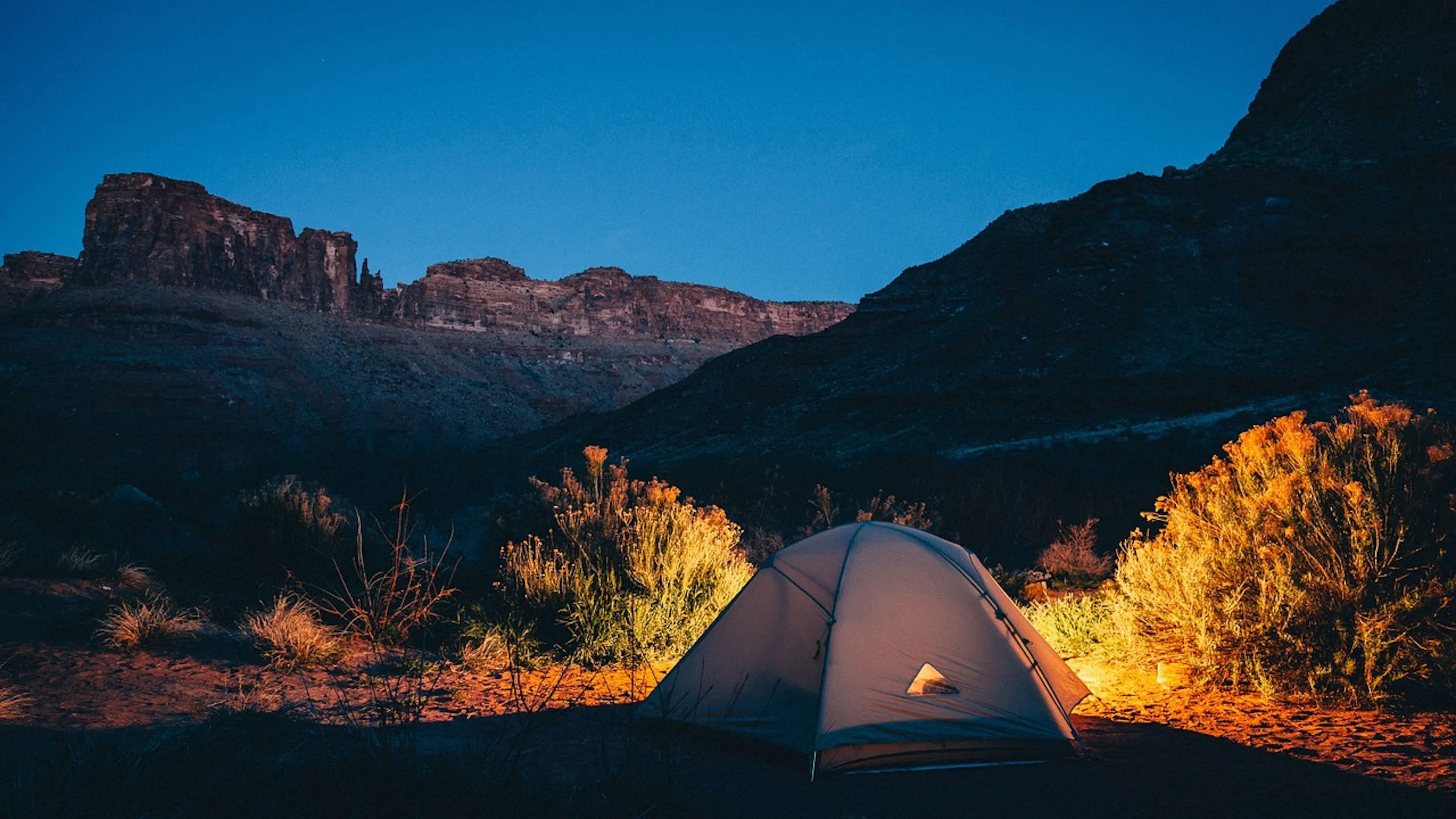 A tent in a canyon that is lit from the inside shining into the night and lighting up the bushes around it