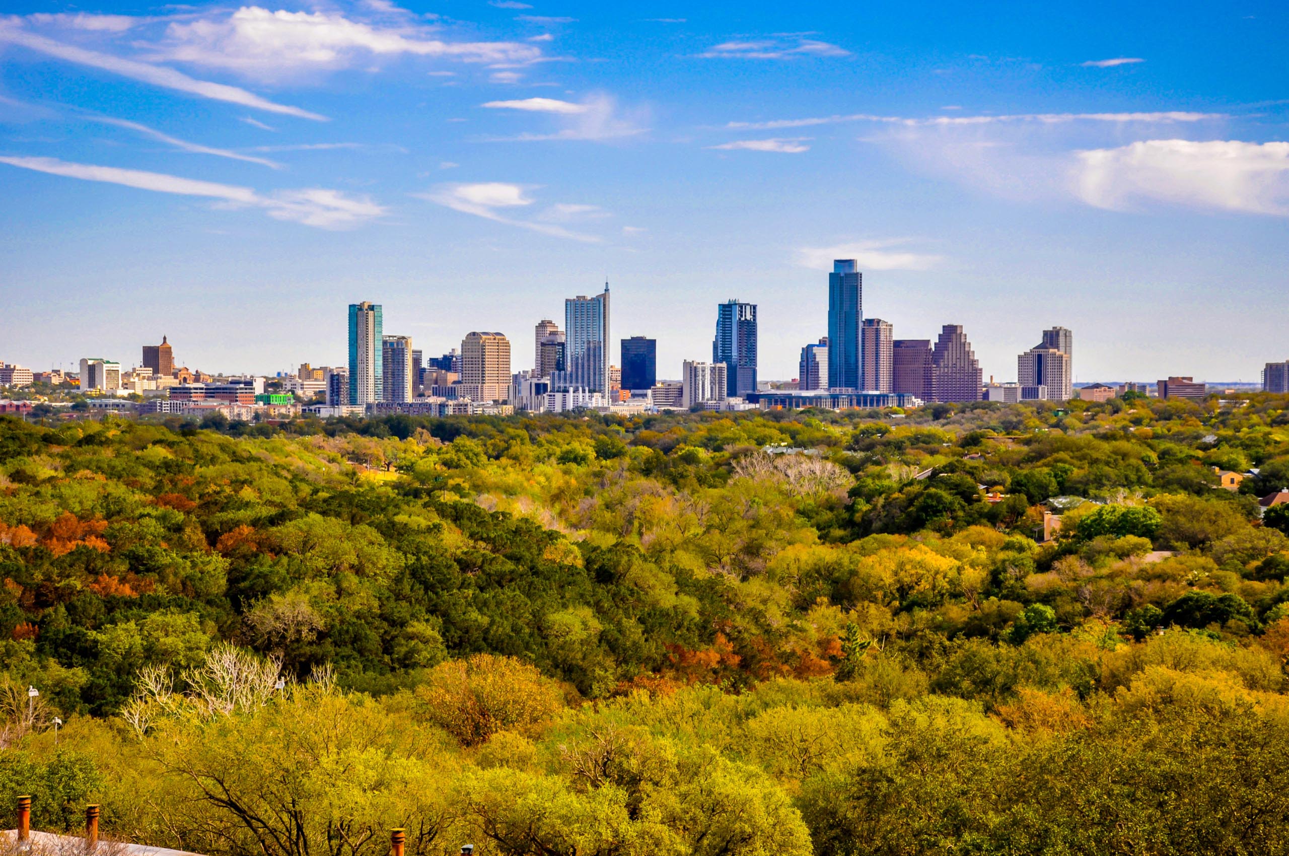 PetFriendly Apartments in Mueller, Austin AMLI Branch Park
