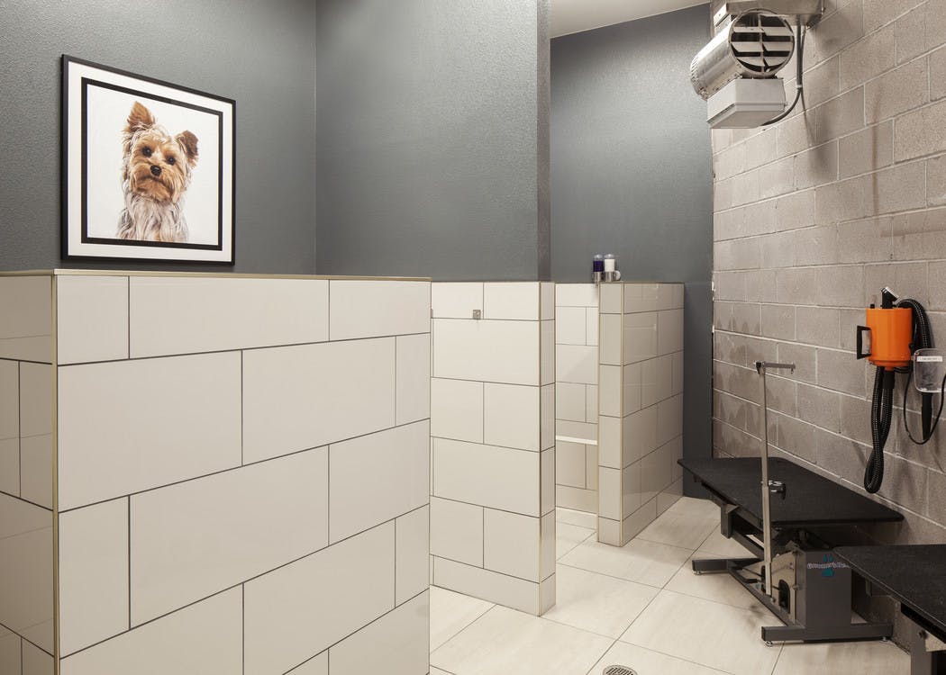 Interior pet washing area at AMLI Riverfront Green apartments with view of bathing stalls and blow drying machines