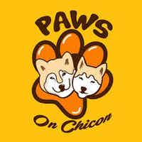 https://images.prismic.io/amli-website/73c47474739e5e32db085e1726ad498fa4745914_austin_-paws-on-chicon_-perks.jpg?auto=compress,format