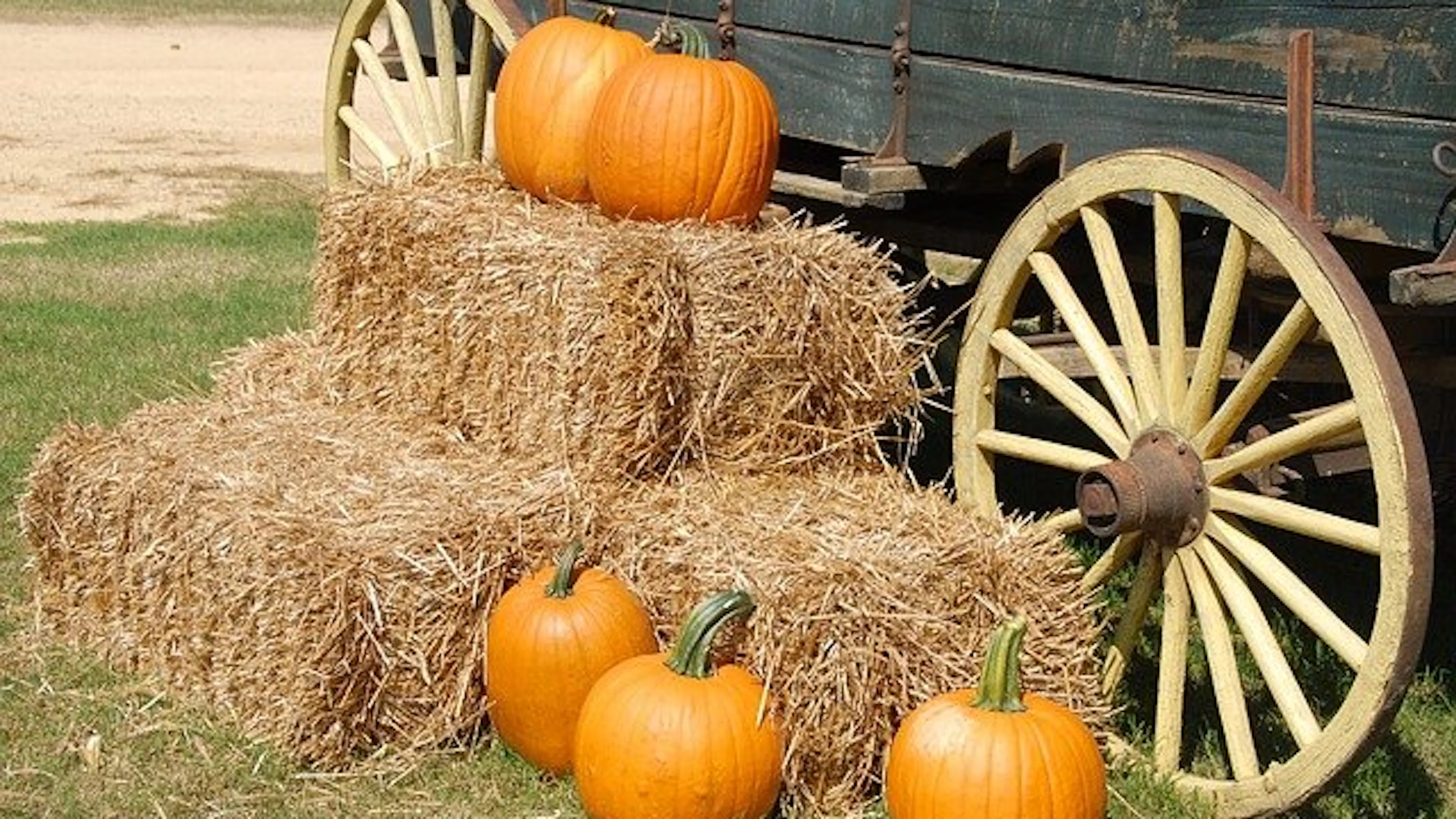 Four rectangular hay bales with big pumpkins scattered around them