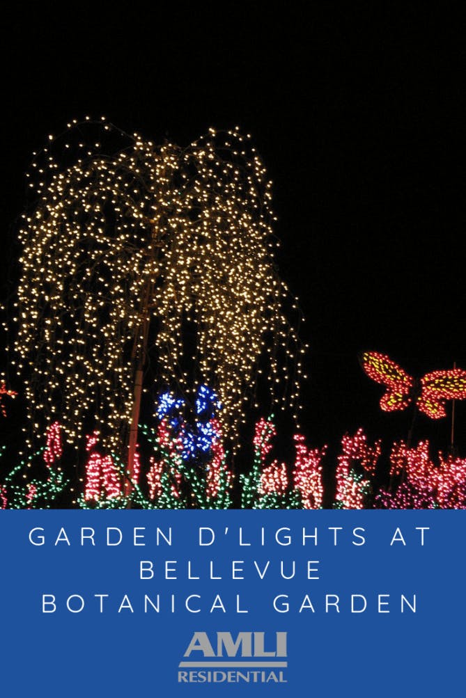 Garden D Lights At Bellevue Botanical Garden