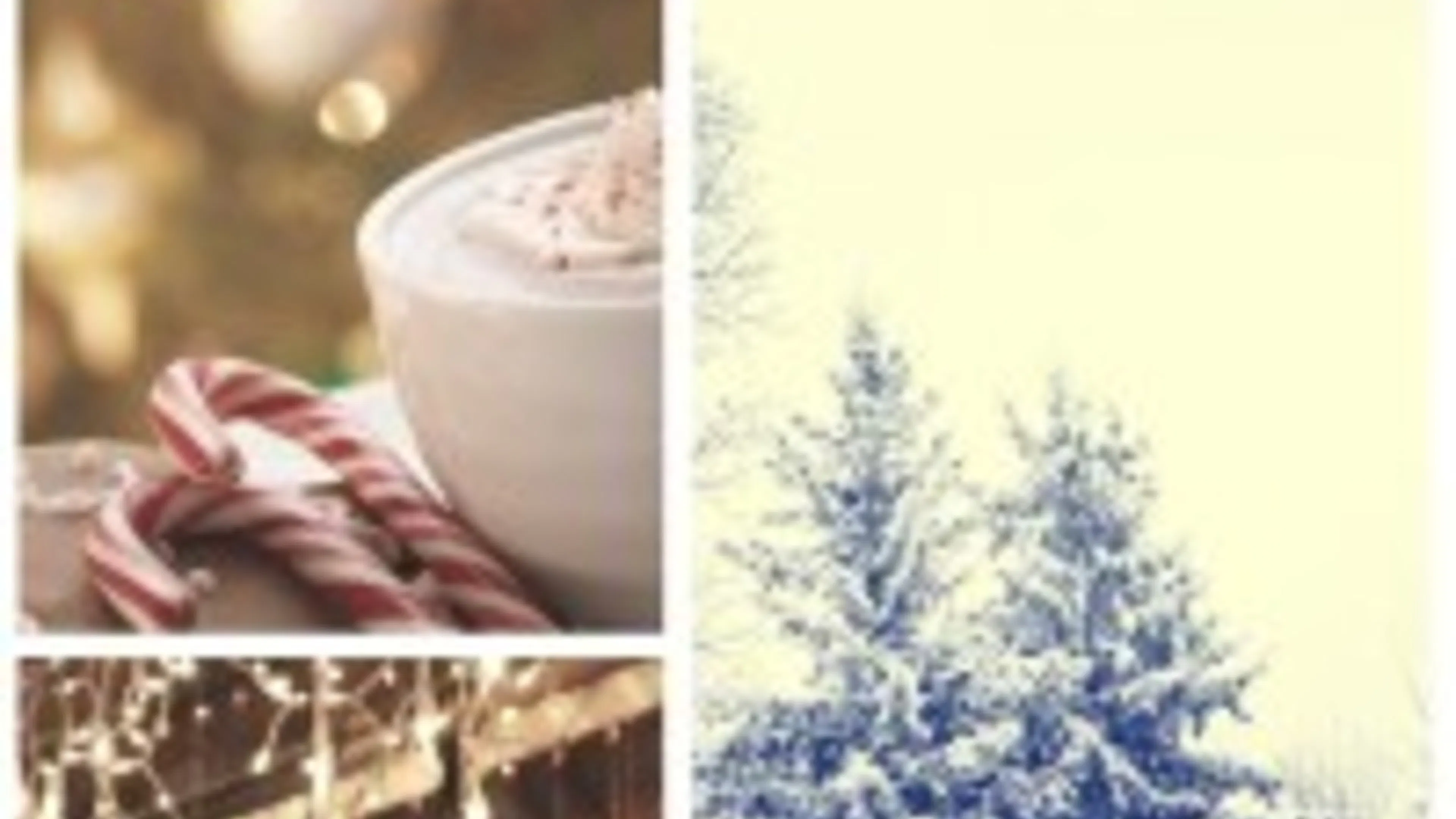 Out &amp; About- Things to do in December