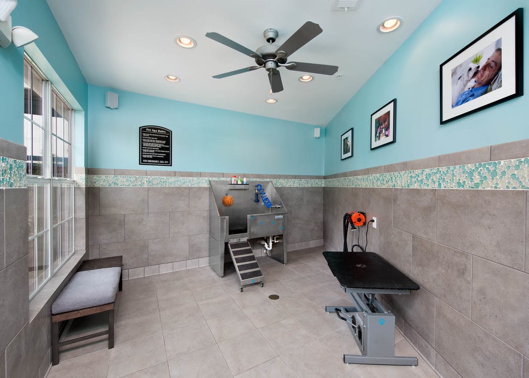 AMLI North Point paw wash with grey tiled flooring which goes onto the lower half of the walls with a deep sink and pet table