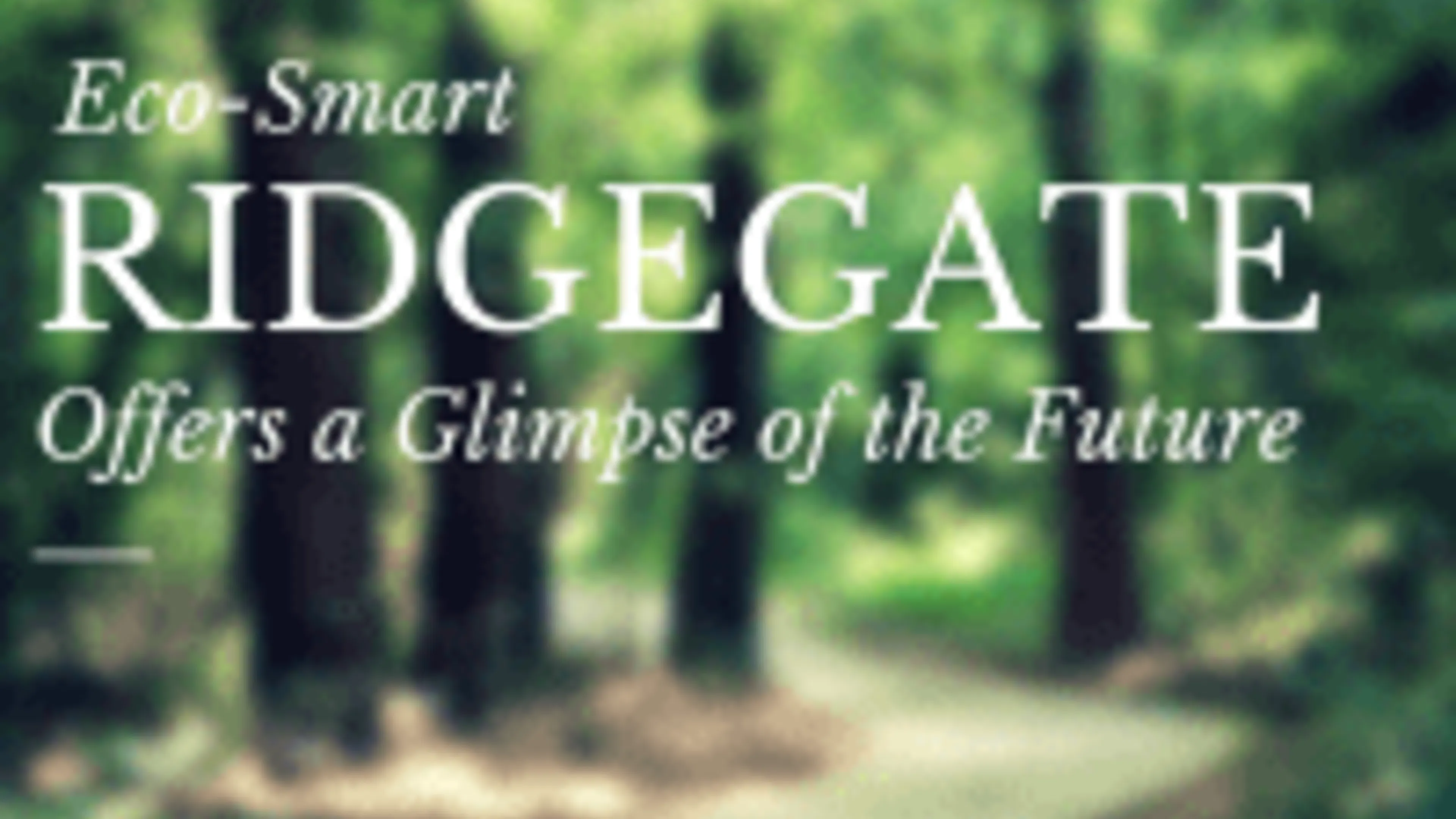 Eco-Smart RidgeGate Offers a Glimpse of the Future