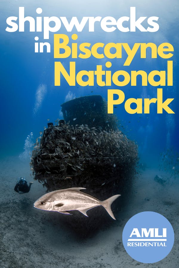 biscayne national underwater park