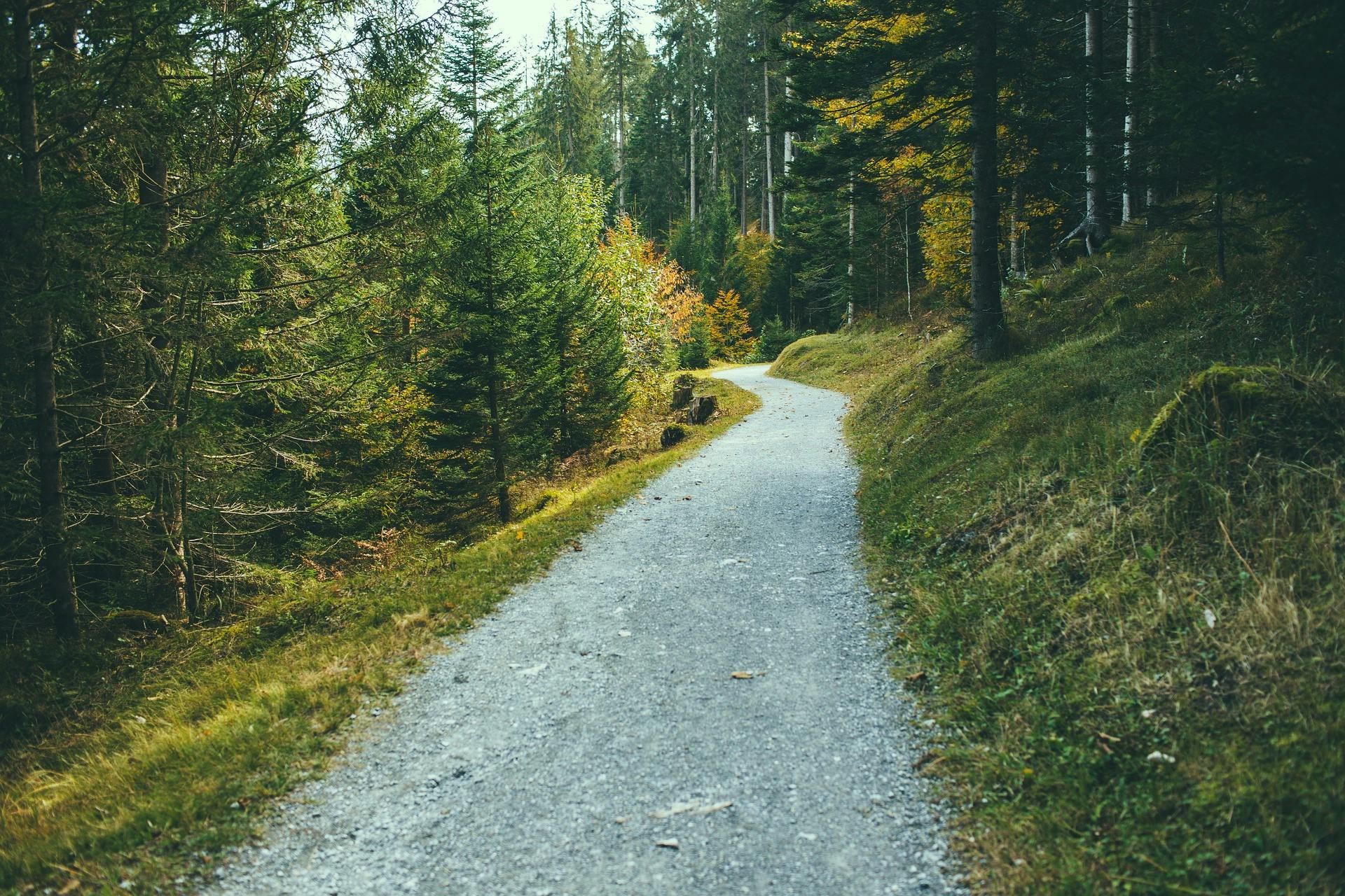 “”