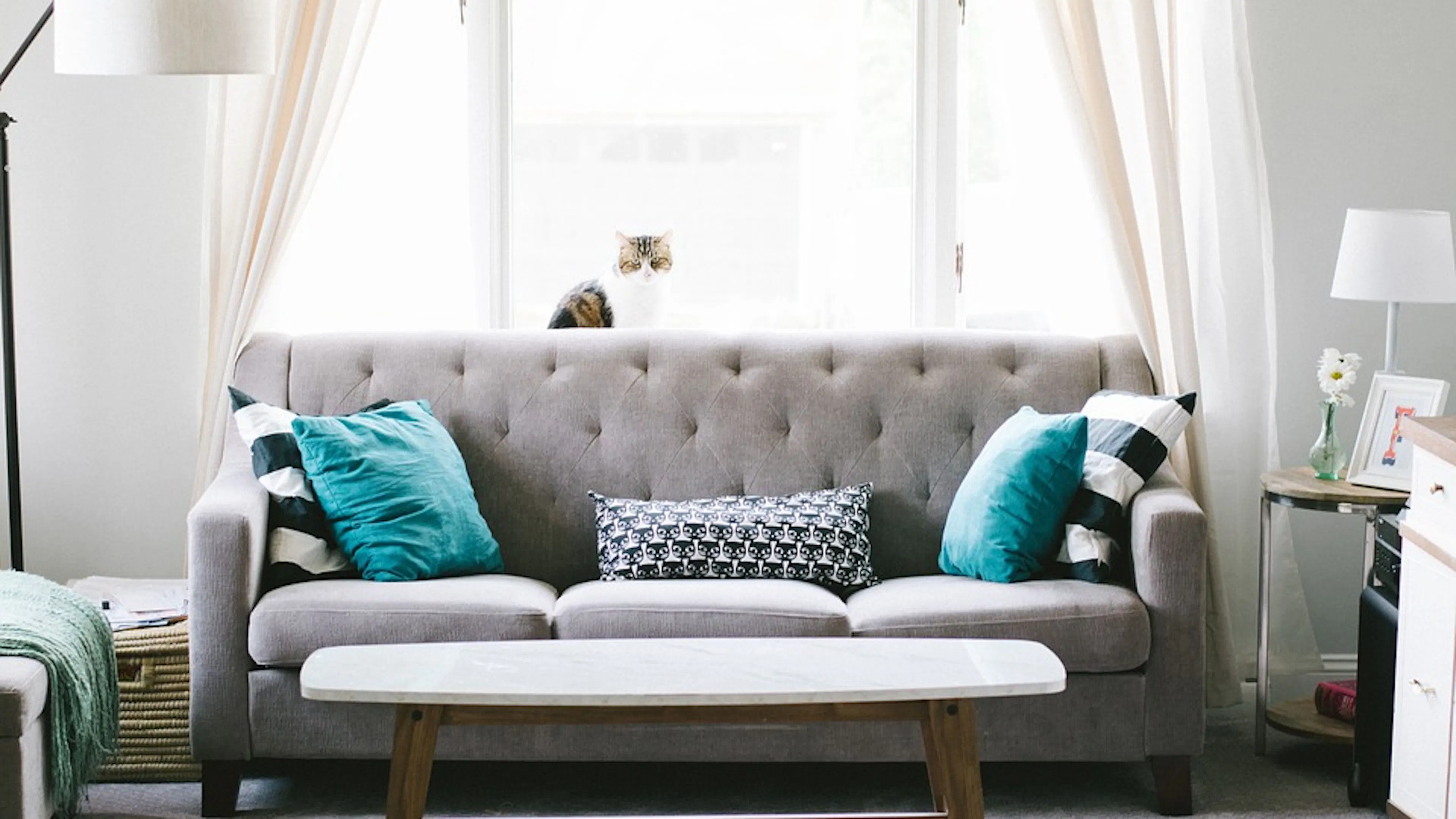 A grey sofa with blue throw pillows in front of a brightly lit window