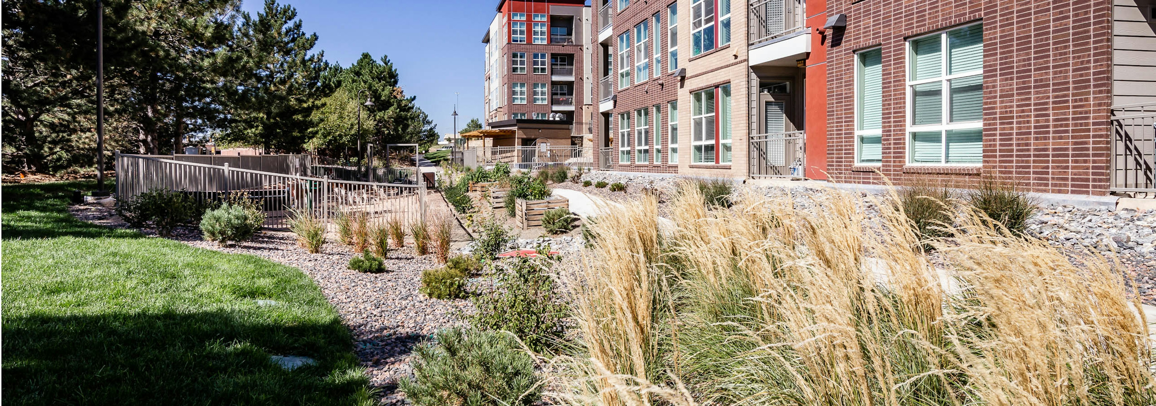 Daytime view of a rock bed area bushes and other plants as well as a grassy area and a view of the AMLI Dry Creek apartments