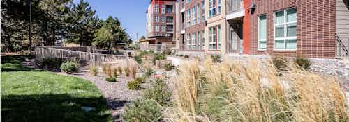 Daytime view of a rock bed area bushes and other plants as well as a grassy area and a view of the AMLI Dry Creek apartments