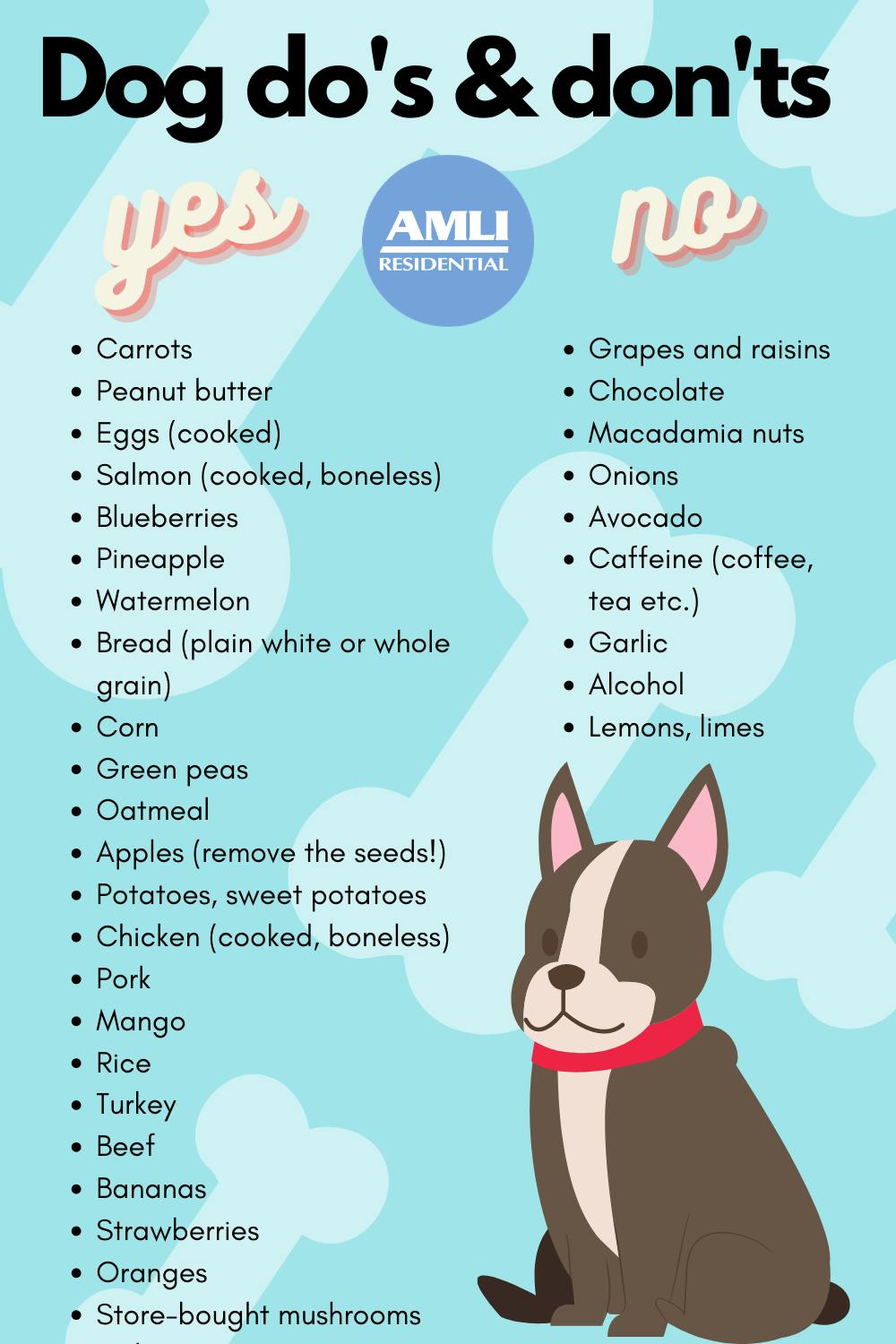 Stay Healthy and Active' Dog Treats