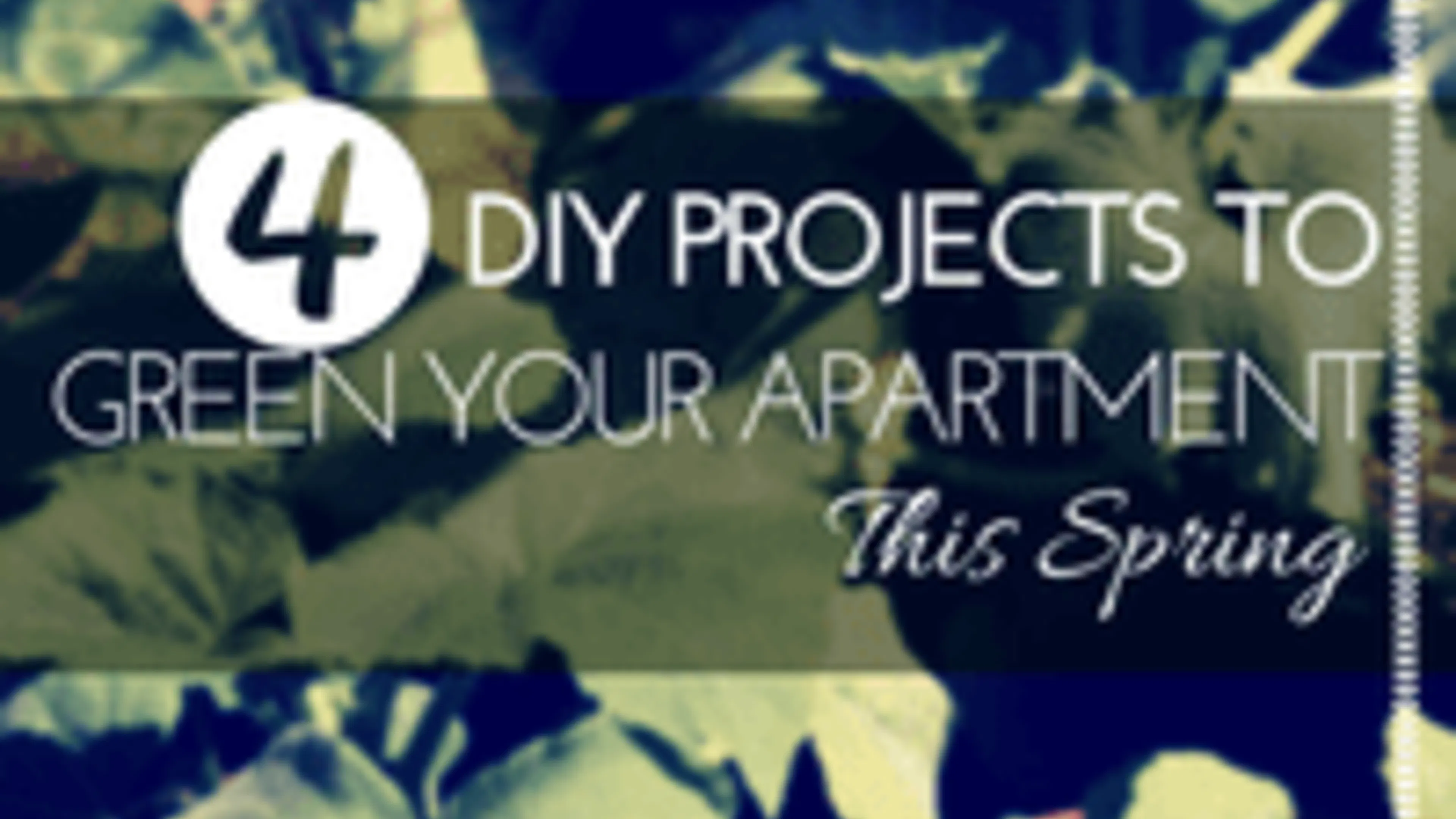 4 DIY Projects to Green Your Apartment this Spring