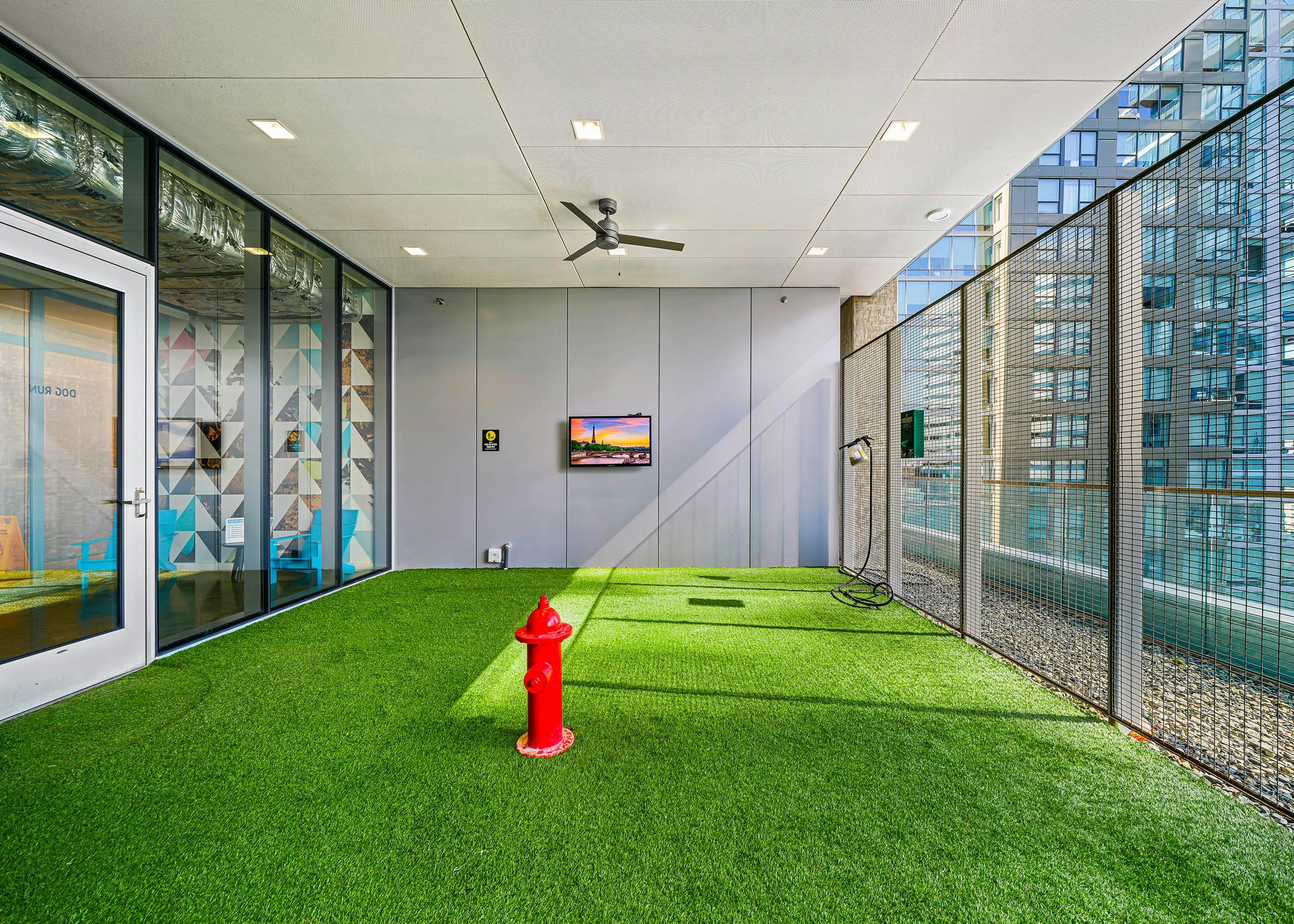 Pet park at AMLI Arc apartment building with fire hydrant in center of green turf and fenced wall and TV on gray wall