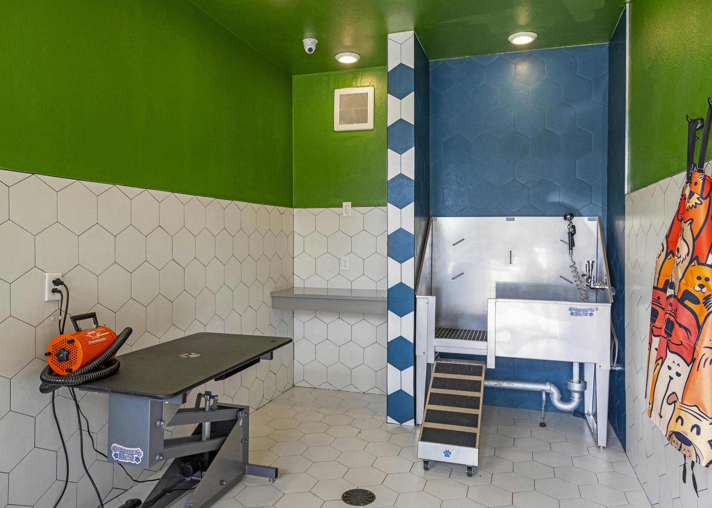 Paw wash at AMLI Covered Bridge with white tile walls with green and blue accents and dog wash and blow dry station