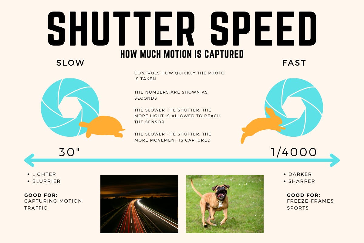 A graphic explaining the properties of the shutter speed camera setting