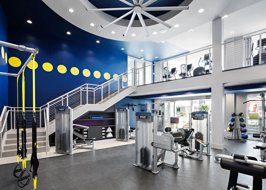 Interior of two-story fitness center at AMLI Lex on Orange apartments with TRX system and medicine balls and cardio machines