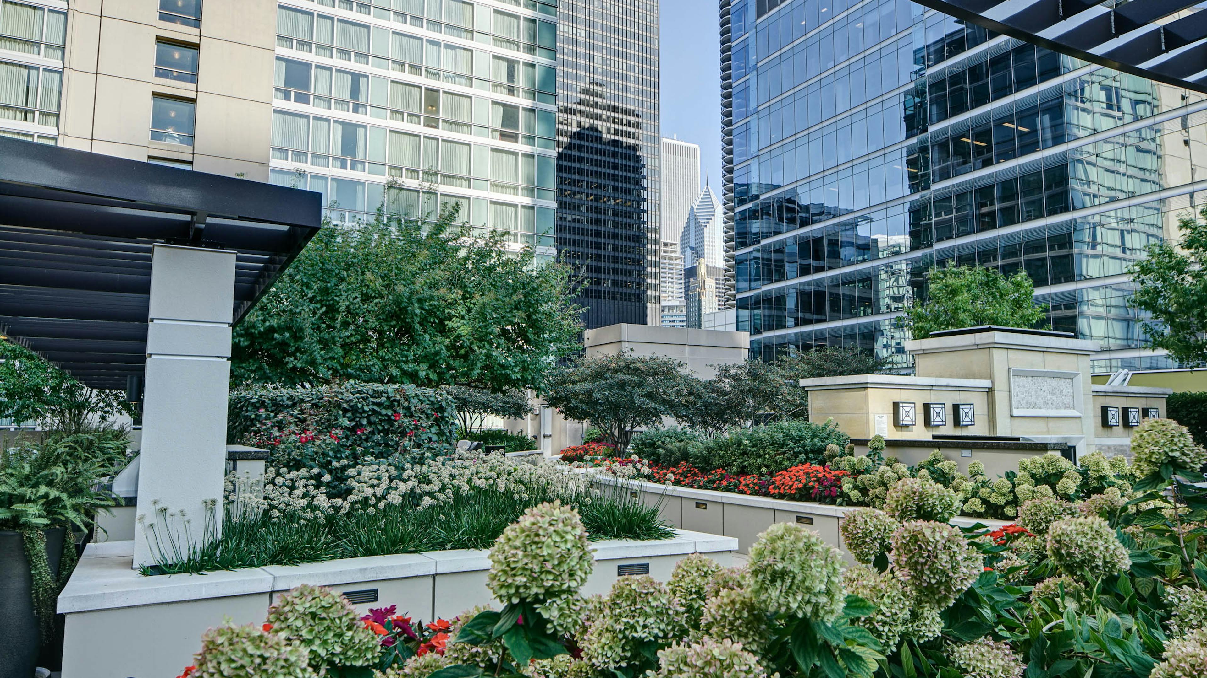 Close up of AMLI River North rooftop lined with vibrant greens and flowers surrounded by tall city buildings and bright sky
