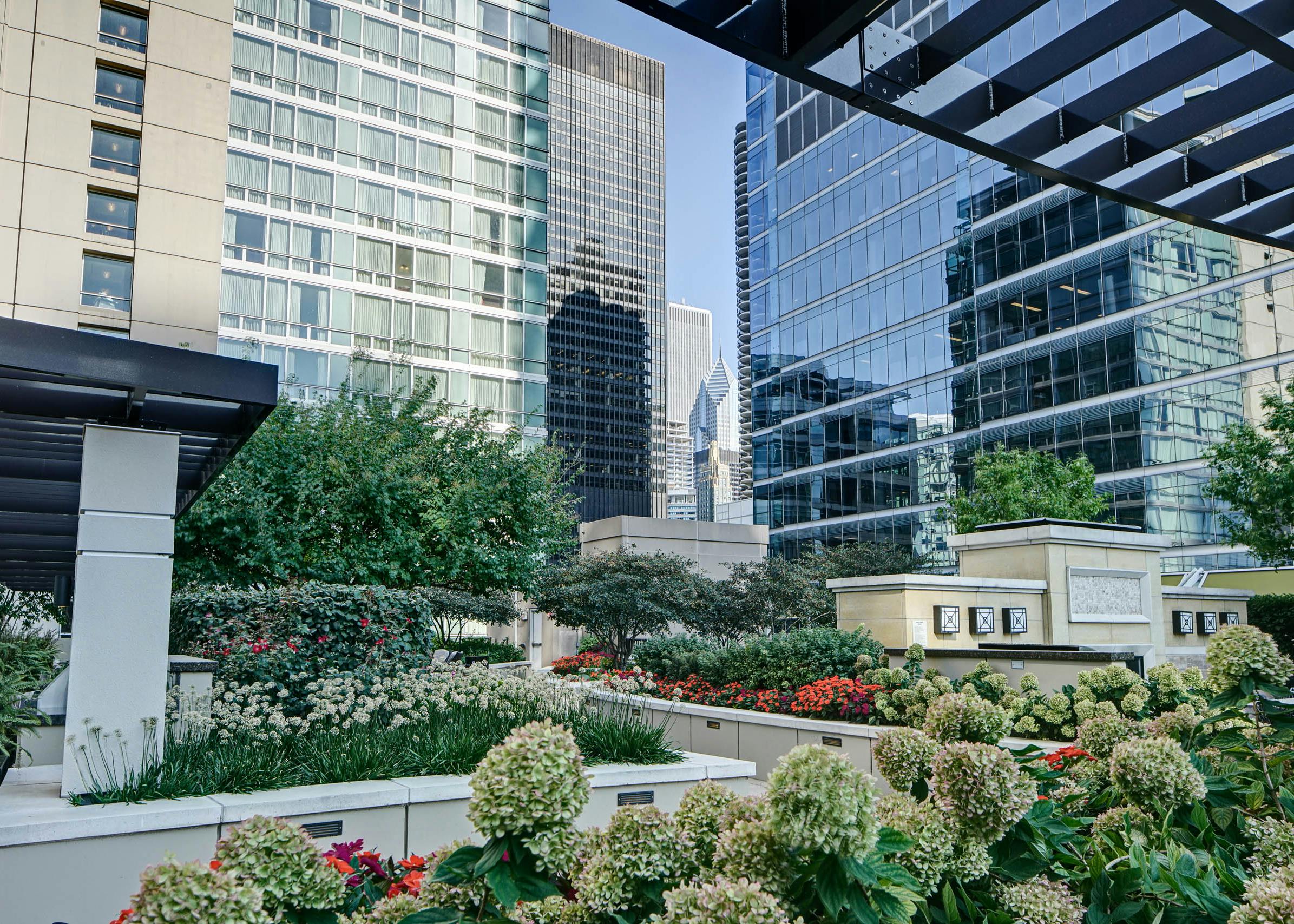 Close up of AMLI River North rooftop lined with vibrant greens and flowers surrounded by tall city buildings and bright sky