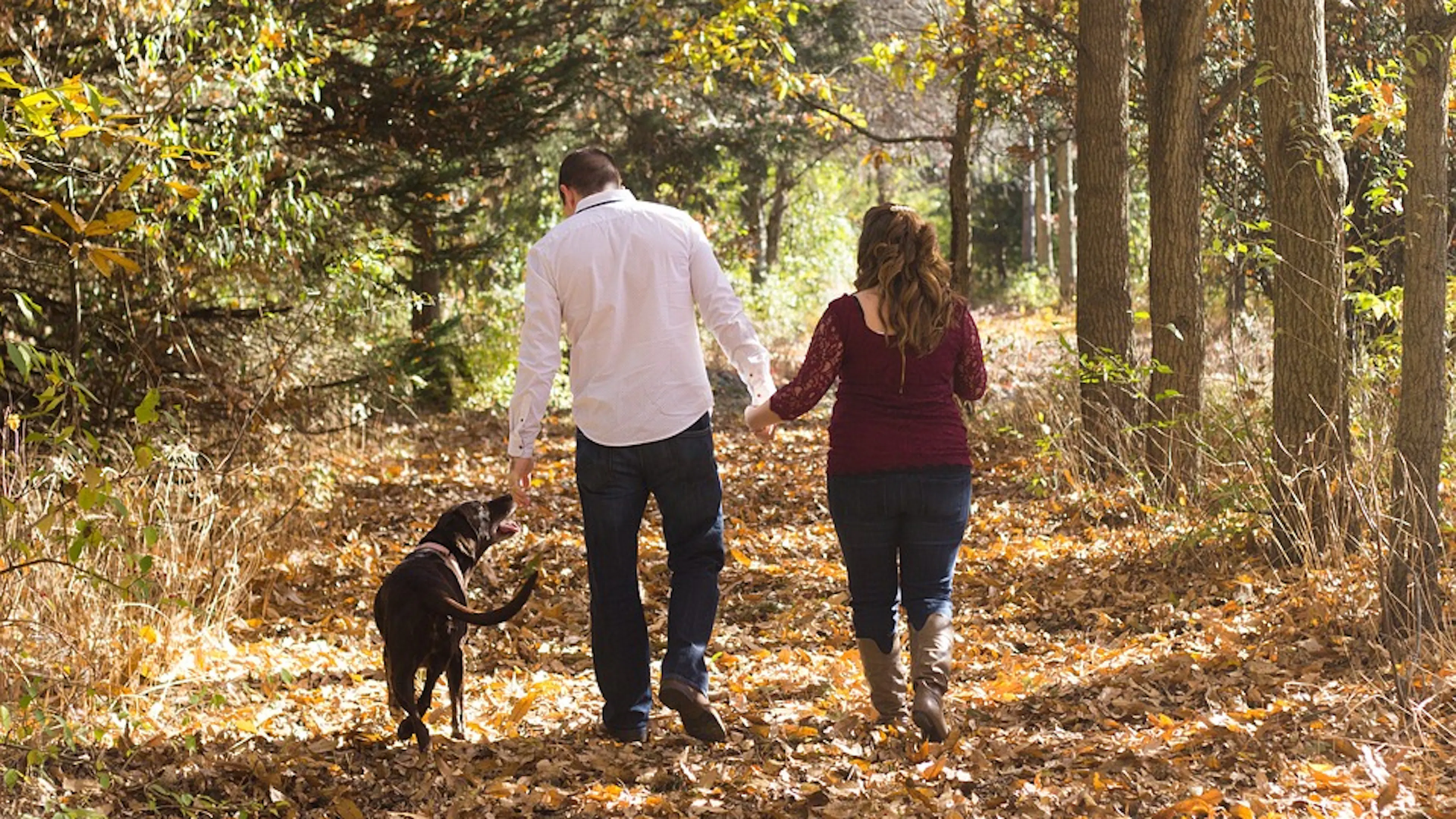 A man and a woman walking away from the camera with a black dog on their left as they walk along a tree lined path