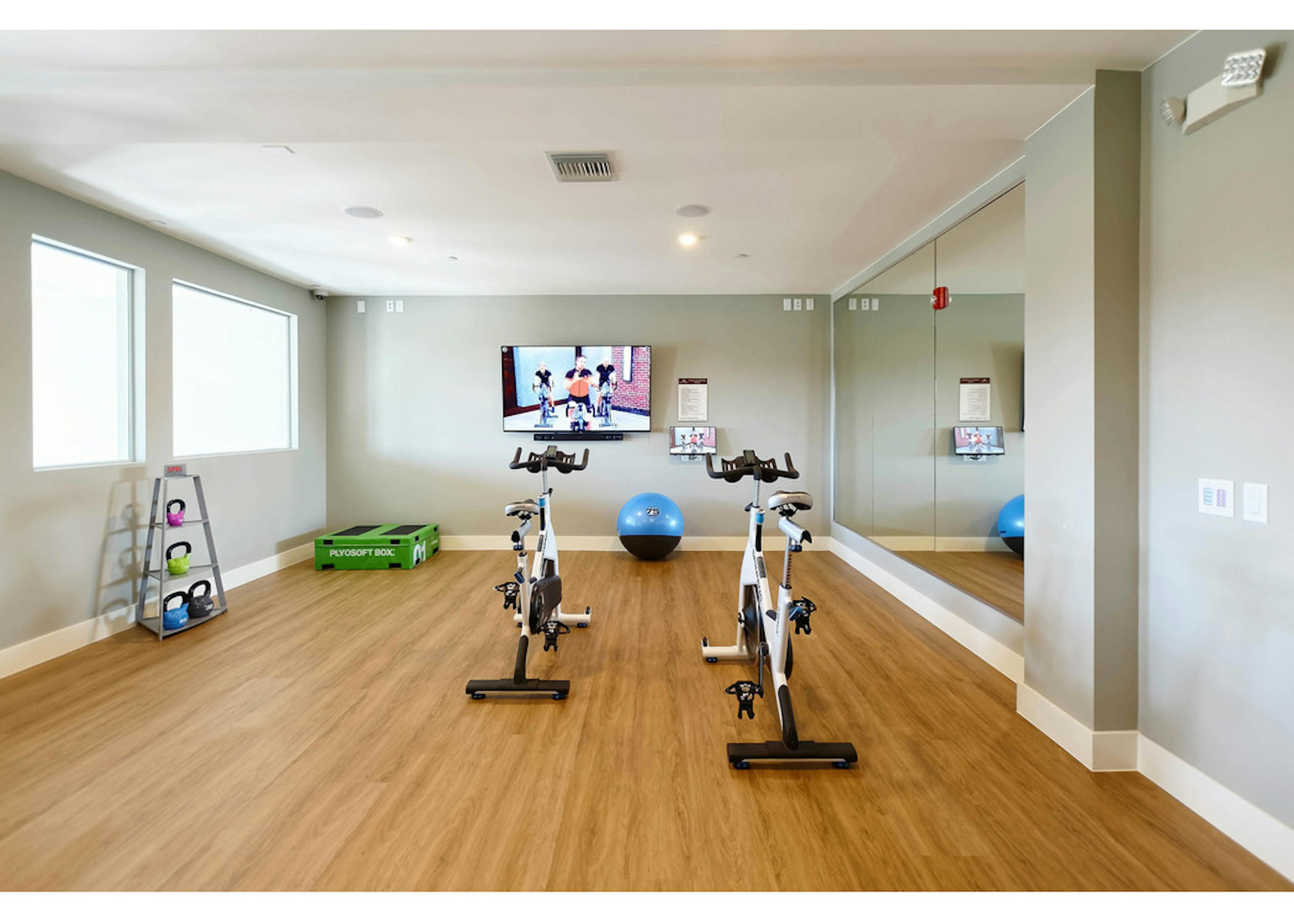 Spin studio at AMLI Dry Creek apartments with two stationary bicycles and a television as well as medicine balls and mirror