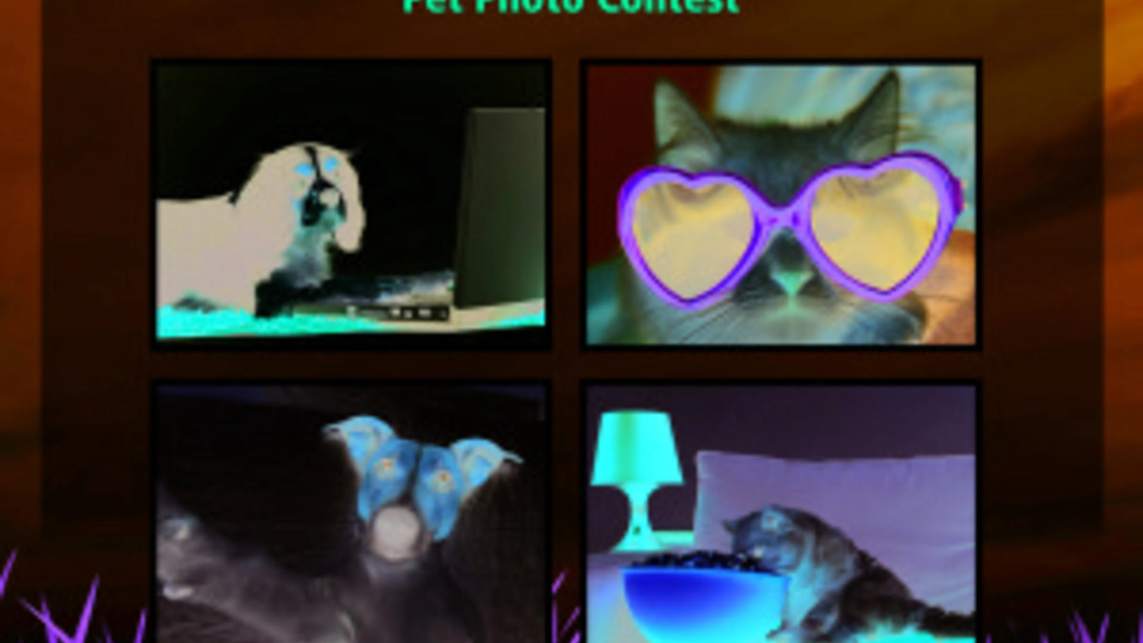 AMLI Paw-parazzi Pet Photo contest